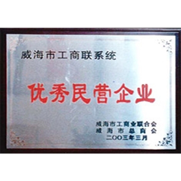 優(yōu)秀民營企業(yè)